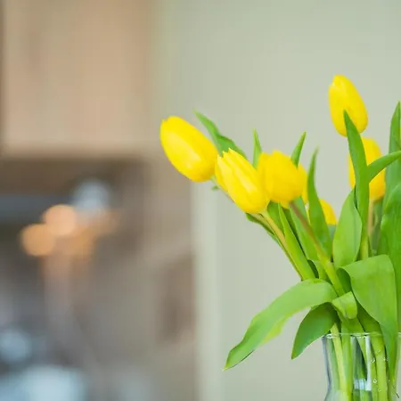 Myflat 812 Appartement *