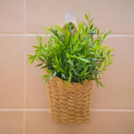 Myflat 812 Lägenhet *