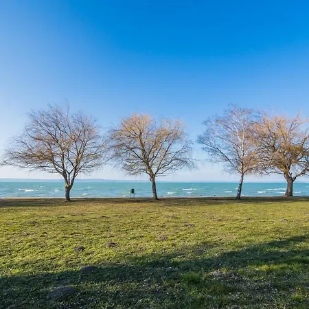 Myflat 812 Apartment