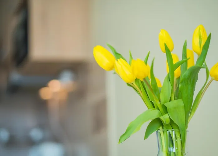 Myflat 812 Apartamento *