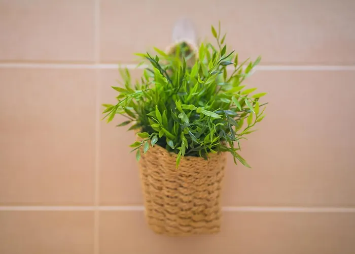 Myflat 812 Apartamento *